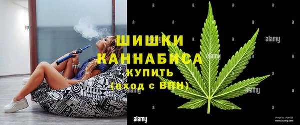 индика Дегтярск