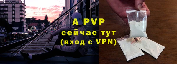 индика Сосновый Бор