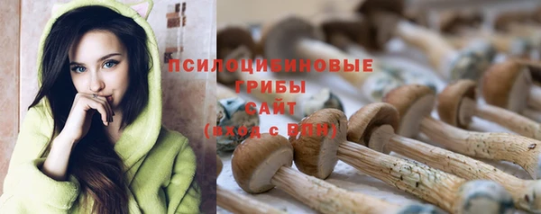 кокс Данков