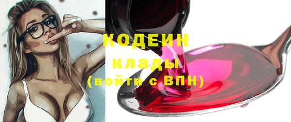 индика Сосновый Бор