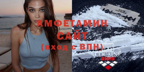 индика Дегтярск