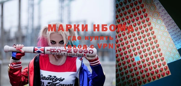 индика Дегтярск