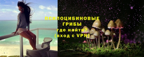 индика Сосновый Бор