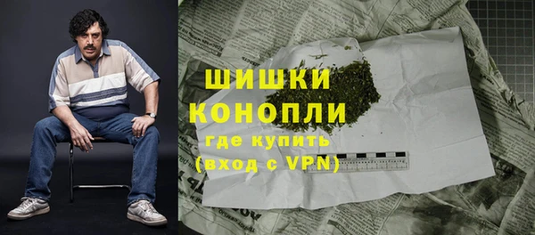 индика Дегтярск