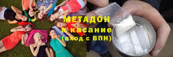 индика Сосновый Бор