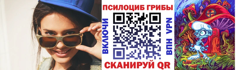 продажа наркотиков  Спасск-Рязанский  Галлюциногенные грибы Psilocybe 